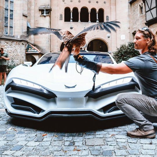Namensvetter des Milan Red ist der Rotmilan, eine mäusebussardgroße Greifvogelart. Namensvetter des Milan Red ist der Rotmilan, eine mäusebussardgroße Greifvogelart.
