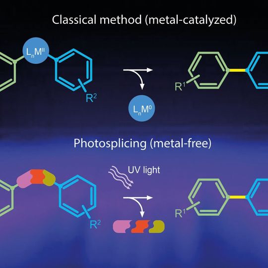 The classical biaryl synthesis route contains catalysts based on heavy metals (above) whereas the new reaction uses a metal-free sulfonamide linker that fragments into gases when exposed to UV-light. The classical biaryl synthesis route contains catalysts based on heavy metals (above) whereas the new reaction uses a metal-free sulfonamide linker that fragments into gases when exposed to UV-light.
