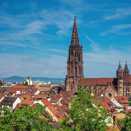 Blick auf den Freiburger Dom. Blick auf den Freiburger Dom.