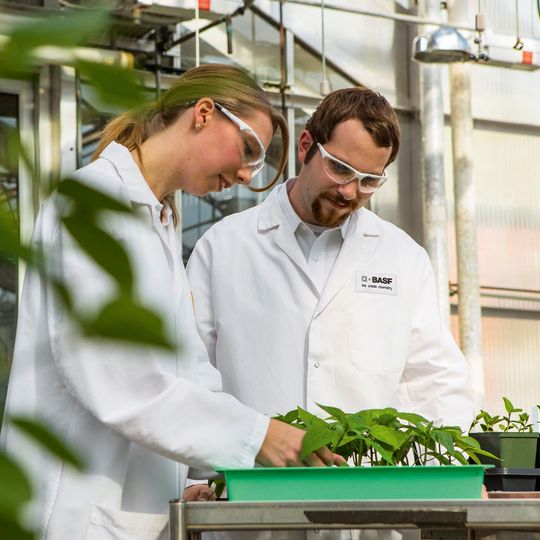 BASF hat den Erwerb des globalen Gemüsesaatgutgeschäfts von Bayer, das vor allem unter der Marke Nunhems geführt wird, abgeschlossen. BASF hat den Erwerb des globalen Gemüsesaatgutgeschäfts von Bayer, das vor allem unter der Marke Nunhems geführt wird, abgeschlossen.