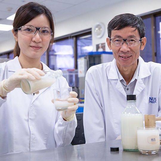 The NUS team has devised a unique cocktail of enzymes, probiotics and yeast to produce an okara beverage rich in gut-friendly nutrients. The NUS team has devised a unique cocktail of enzymes, probiotics and yeast to produce an okara beverage rich in gut-friendly nutrients.