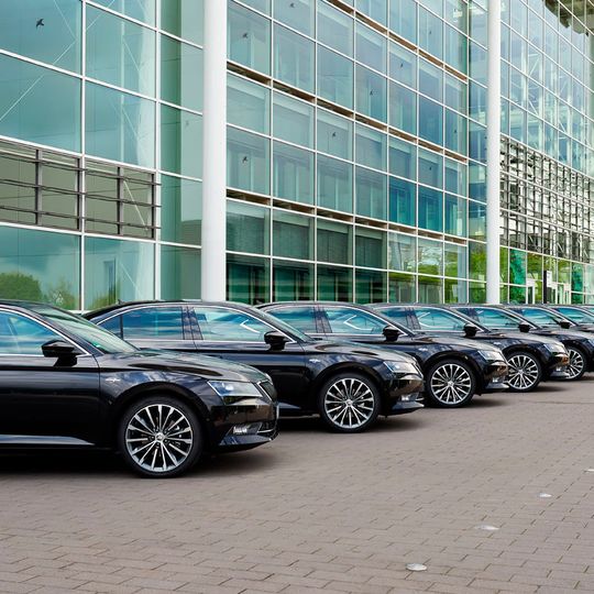 Skoda hat unter den Importeuren den größten Marktanteil im Flottengeschäft. Skoda hat unter den Importeuren den größten Marktanteil im Flottengeschäft.