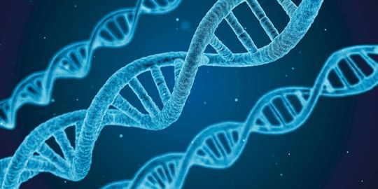 Mit der Akquisition von Nugen erweitert Tecan das Angebot an dedizierten Gesamtlösungen in das neue Marktsegment der Reagenzien für die Gensequenzierung (NGS, Next-Generation Sequencing). Mit der Akquisition von Nugen erweitert Tecan das Angebot an dedizierten Gesamtlösungen in das neue Marktsegment der Reagenzien für die Gensequenzierung (NGS, Next-Generation Sequencing).