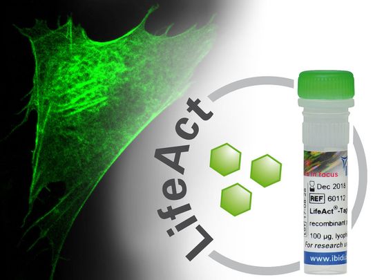 Life-Act-Tag-GFP2-Protein Life-Act-Tag-GFP2-Protein