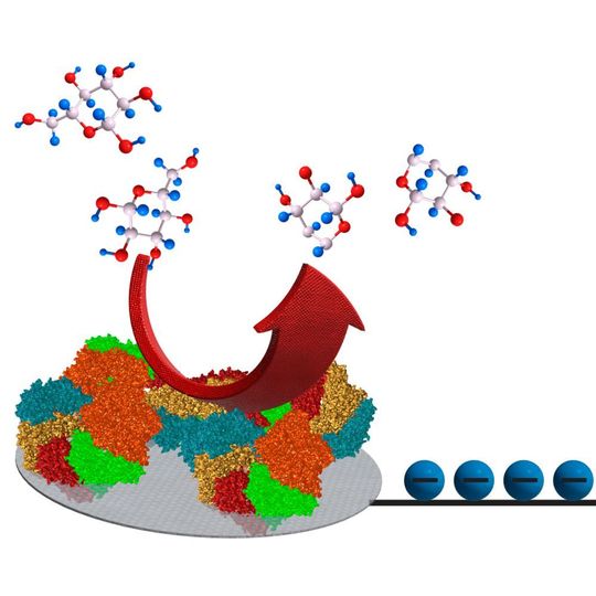Boosting the energy output by storing and bundling the energy of many spontaneous enzyme reactions. Boosting the energy output by storing and bundling the energy of many spontaneous enzyme reactions.