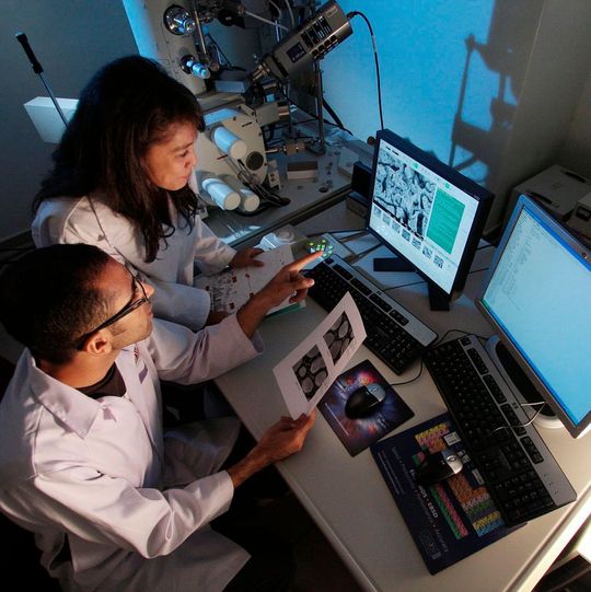 Das Dechema-Papier „Neue Schubkraft für die Biotechnologie“ blickt in die digitalisierte Zukunft. Das Dechema-Papier „Neue Schubkraft für die Biotechnologie“ blickt in die digitalisierte Zukunft.
