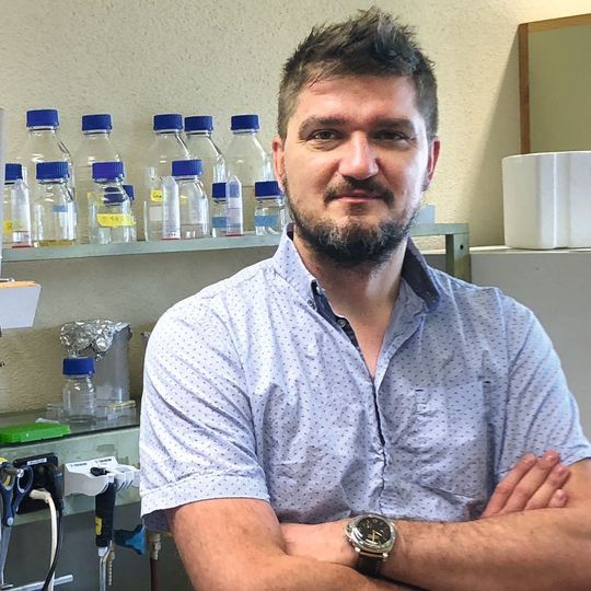 Seine Forschungsarbeiten könnten neue Einblicke in die Regulation der Zellkommunikation geben: Prof. Dr. Mariusz Nowacki vom Institut für Zellbiologie der Universität Bern. Seine Forschungsarbeiten könnten neue Einblicke in die Regulation der Zellkommunikation geben: Prof. Dr. Mariusz Nowacki vom Institut für Zellbiologie der Universität Bern.