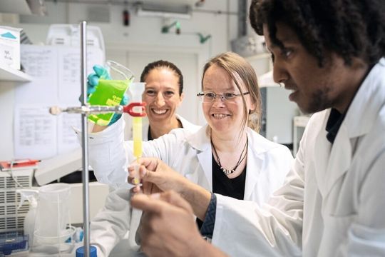 Mithilfe fluoreszierender Farbstoffe können die Forscherinnen und Forscher überprüfen, ob das Protein Bax Löcher in Membranen reißt – ein Mechanismus, mit dem es in lebenden Zellen die Apoptose einleitet.