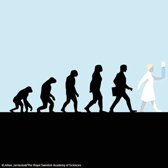Der Chemienobelpreis 2018 wird für die zielgerichtete Evolution von Proteinen verliehen (Symbolbild). Der Chemienobelpreis 2018 wird für die zielgerichtete Evolution von Proteinen verliehen (Symbolbild).