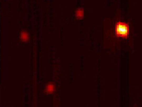 Forscher der TU Wien haben eine Mikroskopie-Methode entwickelt, mit der einzelne Moleküle über den Schall sichtbar werden. Forscher der TU Wien haben eine Mikroskopie-Methode entwickelt, mit der einzelne Moleküle über den Schall sichtbar werden.
