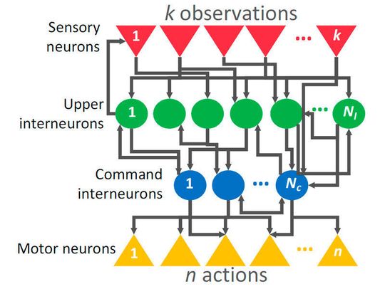 Neuronales Netz: Unterschiedliche Schichten von Neuronen sind übereinandergelagert, die Neuronen beeinflussen einander.
