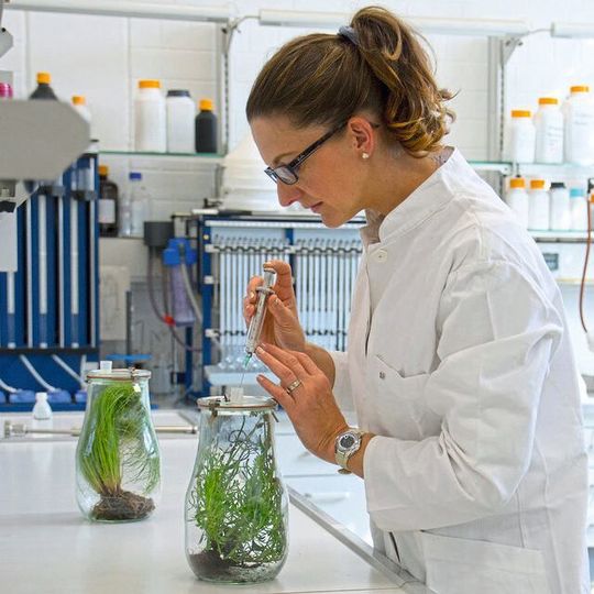 Prof. Dr. Katharina Lenhart bei Untersuchungen im Labor Prof. Dr. Katharina Lenhart bei Untersuchungen im Labor