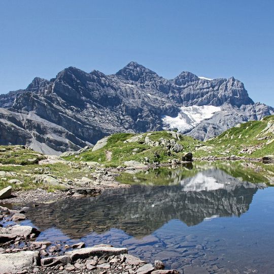 Berglandschaft im Schweizer Wallis: Vielfältige Bodentypen sorgen hier, wie auch in anderen Gebirgen weltweit, für einen vergleichsweise großen Artenreichtum an Wirbeltieren. Berglandschaft im Schweizer Wallis: Vielfältige Bodentypen sorgen hier, wie auch in anderen Gebirgen weltweit, für einen vergleichsweise großen Artenreichtum an Wirbeltieren.