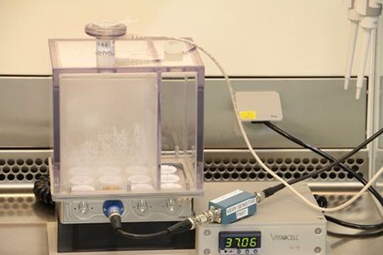 Das 3D Lungenmodell am Adolphe Merkle Institute (AMI) in Fribourg. Das 3D Lungenmodell am Adolphe Merkle Institute (AMI) in Fribourg.