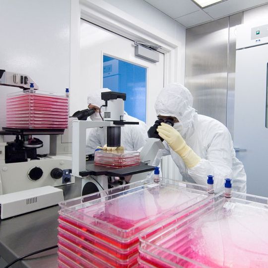 Lonza released the first 2 000L Single-Use Bioreactor (SUB) batch from Singapore for Tracon Pharmaceuticals. Lonza released the first 2 000L Single-Use Bioreactor (SUB) batch from Singapore for Tracon Pharmaceuticals.