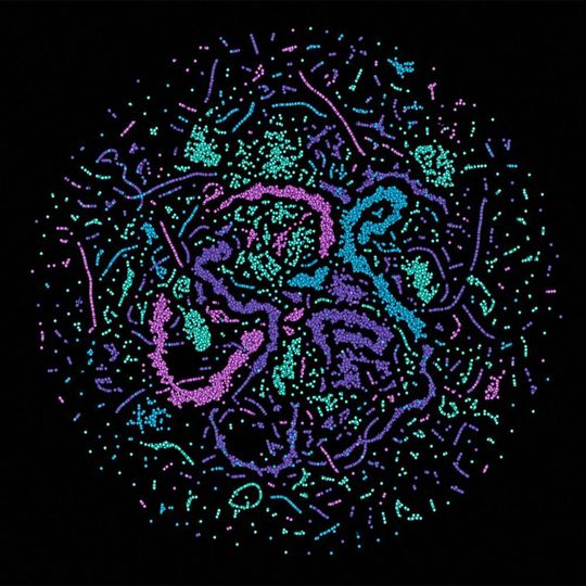 Eine Fehlerkorrektur im Training: Die Abbildung visualisiert die Aktivität der künstlichen Nervenzellen im neuronalen Netz der Max-Planck-Forscher, während es eine Aufgabe löst. Eine Fehlerkorrektur im Training: Die Abbildung visualisiert die Aktivität der künstlichen Nervenzellen im neuronalen Netz der Max-Planck-Forscher, während es eine Aufgabe löst.