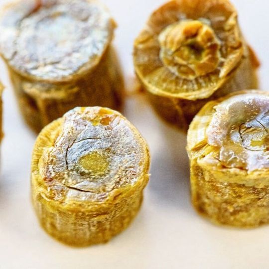 Abb.1: Vanadiumpentoxid-Proben, deren Mikrostruktur der Sepia-Schale nachempfunden ist. Abb.1: Vanadiumpentoxid-Proben, deren Mikrostruktur der Sepia-Schale nachempfunden ist.