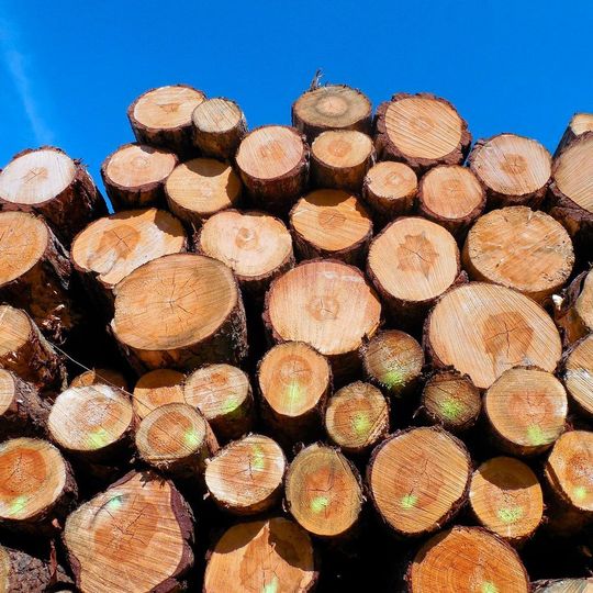 The plant will produce 157,000 t/a of torrefied pellets made of sustainable biomass sourced from forestry wastes and by-products of wood processing industry. The plant will produce 157,000 t/a of torrefied pellets made of sustainable biomass sourced from forestry wastes and by-products of wood processing industry.