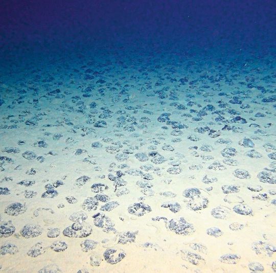 Manganknollen auf dem Meeresboden in der Clarion-Clipperton-Zone Manganknollen auf dem Meeresboden in der Clarion-Clipperton-Zone