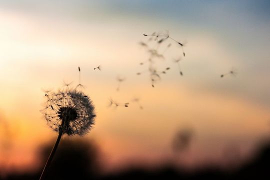 Das Wachstum des Unternehmens ist ein Prozess; klare Strukturen und eine optimale Aufgabenverteilung die Voraussetzung. Das Wachstum des Unternehmens ist ein Prozess; klare Strukturen und eine optimale Aufgabenverteilung die Voraussetzung.