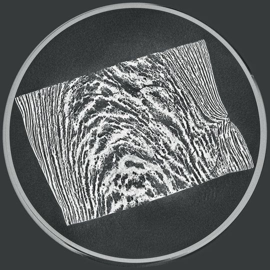 Der Fleischtextur auf der Spur: Die Mikrocomputertomographie (µCT) macht die Produktstruktur sichtbar. Der Fleischtextur auf der Spur: Die Mikrocomputertomographie (µCT) macht die Produktstruktur sichtbar.