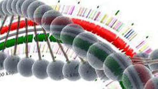 Hochdurchsatzmethoden erlauben den Zugriff auf die genetische Vielfalt der Mikroorganismen. Hochdurchsatzmethoden erlauben den Zugriff auf die genetische Vielfalt der Mikroorganismen.