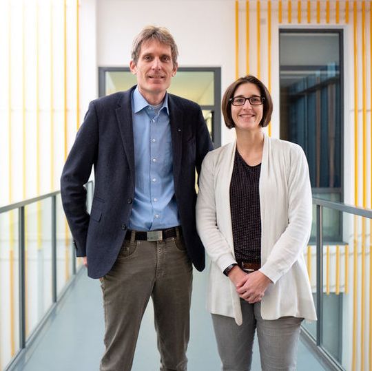Die Teams von Viktoria Däschlein-Gessner und Lukas Gooßen arbeiten daran, verschiedene Katalysatoren zu optimieren. Die Teams von Viktoria Däschlein-Gessner und Lukas Gooßen arbeiten daran, verschiedene Katalysatoren zu optimieren.