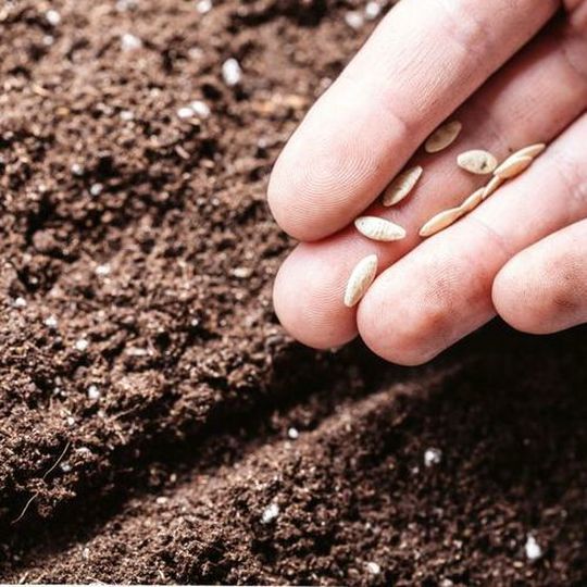 UAS production will complement Euro Chem’s current portfolio of sulphur-enriched fertilisers. UAS production will complement Euro Chem’s current portfolio of sulphur-enriched fertilisers.
