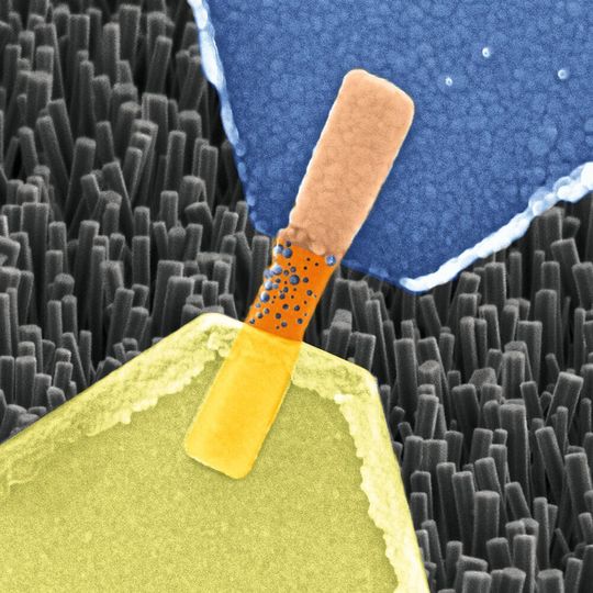 Elektronenmikroskopische Aufnahme eines einzelnen Nanodraht-Memristors (farblich hervorgehoben vor einer Aufnahme weiterer Nanodrähte im Hintergrund). Blau: Silberelektrode, orange: Nanodraht, gelb: Platinelektrode. Blaue Bläschen sind über den Nanodraht verteilt. Sie bestehen aus Silberionen und bilden eine Brücke zwischen beiden Elektroden, was die Leitfähigkeit erhöht. Elektronenmikroskopische Aufnahme eines einzelnen Nanodraht-Memristors (farblich hervorgehoben vor einer Aufnahme weiterer Nanodrähte im Hintergrund). Blau: Silberelektrode, orange: Nanodraht, gelb: Platinelektrode. Blaue Bläschen sind über den Nanodraht verteilt. Sie bestehen aus Silberionen und bilden eine Brücke zwischen beiden Elektroden, was die Leitfähigkeit erhöht.