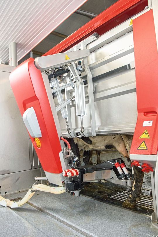 automatisierung-im-kuhstall-erh-ht-die-milchproduktion