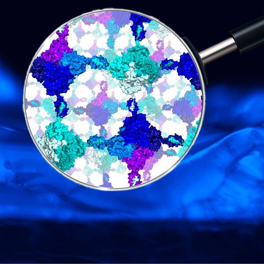 Biokatalysator: Zwei verschiedene Eiweißstoffe fügen sich, einem Zweikomponentenkleber vergleichbar, von selbst zu einem Hydrogel zusammen. Biokatalysator: Zwei verschiedene Eiweißstoffe fügen sich, einem Zweikomponentenkleber vergleichbar, von selbst zu einem Hydrogel zusammen.