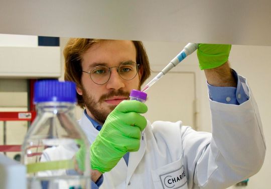 Hendrik Bartolomaeus