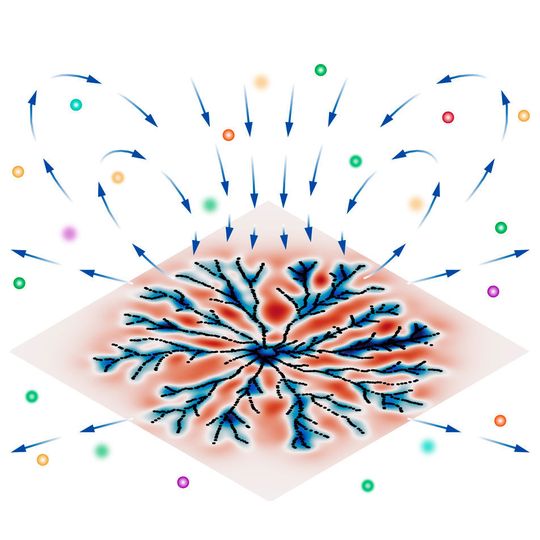 Bewegungsmuster auf einem ebenen Biofilm (blau-rot gefärbt) und dadurch erzeugte Flusslinien vom Lösungsmittel (blau), die für den Transport von Nährstoffen (bunte Kugeln) sorgen. Bewegungsmuster auf einem ebenen Biofilm (blau-rot gefärbt) und dadurch erzeugte Flusslinien vom Lösungsmittel (blau), die für den Transport von Nährstoffen (bunte Kugeln) sorgen.