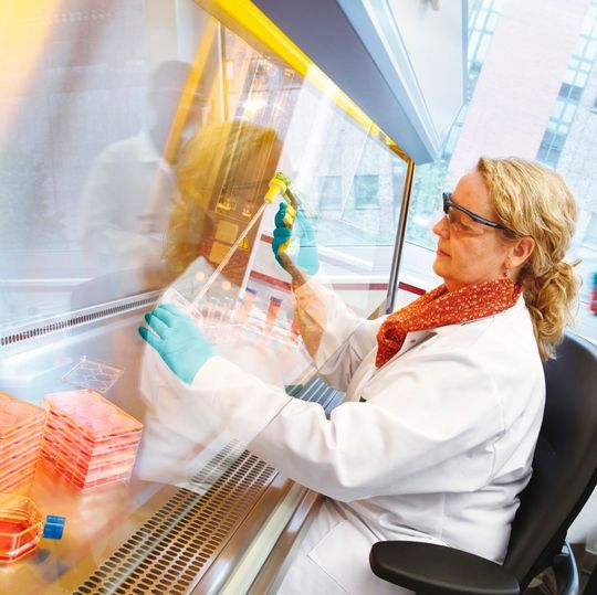 Die Mehrheit der Unternehmerinnen und Unternehmer in der Biotechnologiebranche beurteilen ihre aktuelle Geschäftslage als gut, rund 50 % erwarten für dieses Jahr eine Verbesserung. Die Mehrheit der Unternehmerinnen und Unternehmer in der Biotechnologiebranche beurteilen ihre aktuelle Geschäftslage als gut, rund 50 % erwarten für dieses Jahr eine Verbesserung.