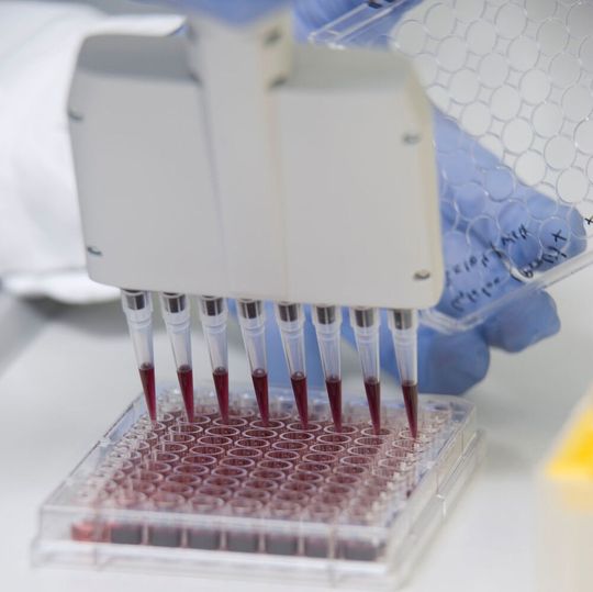 2019 stehen voraussichtlich 30 neue Medikamente für Patienten zur Verfügung. 2019 stehen voraussichtlich 30 neue Medikamente für Patienten zur Verfügung.