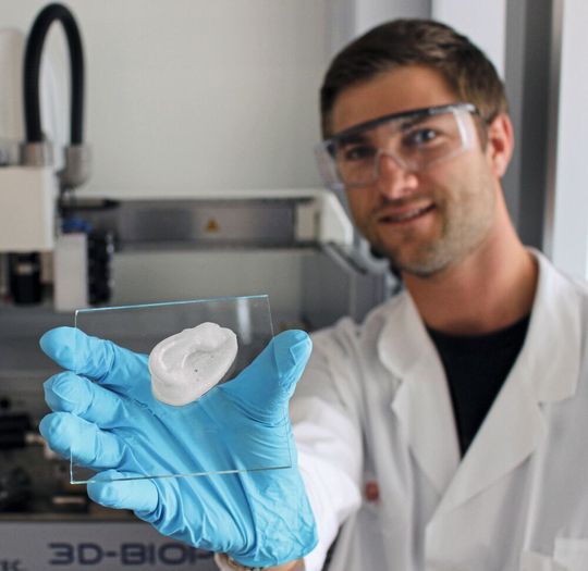 Ohr aus dem 3-D-Drucker: Empa-Forscher Michael Hausmann nutzt Nanocellulose als Basis für neuartige Implantate. Ohr aus dem 3-D-Drucker: Empa-Forscher Michael Hausmann nutzt Nanocellulose als Basis für neuartige Implantate.