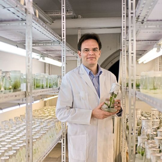 Prof. Dr. Christian Ulrichs forscht mit einem Zero-Waste-Ansatz an der Ernährung der Zuknft. Prof. Dr. Christian Ulrichs forscht mit einem Zero-Waste-Ansatz an der Ernährung der Zuknft.