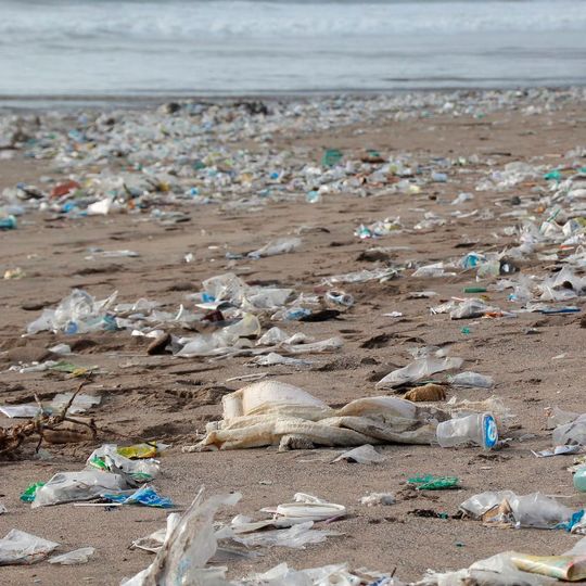 Die „Allianz gegen Plastikmüll in der Umwelt“ hat bereits Mittel von rund 880 Millionen Euro zugesagt. Die „Allianz gegen Plastikmüll in der Umwelt“ hat bereits Mittel von rund 880 Millionen Euro zugesagt.