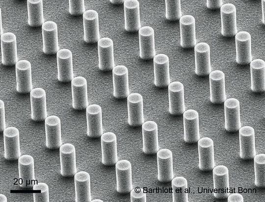 Rasterelektronenmikroskopische Aufnahme einer Oberfläche, die der von Salvinia nachempfunden ist. Rasterelektronenmikroskopische Aufnahme einer Oberfläche, die der von Salvinia nachempfunden ist.