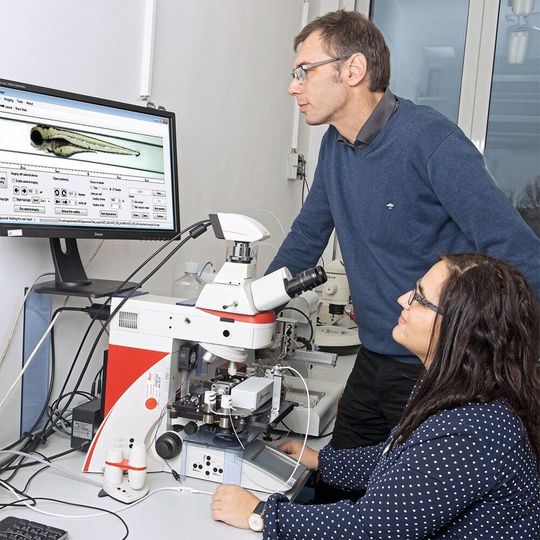 Ökotoxikologen nutzen ein VAST-System zur automatisierten Bildaufnahme von Fischembryonen. Ökotoxikologen nutzen ein VAST-System zur automatisierten Bildaufnahme von Fischembryonen.