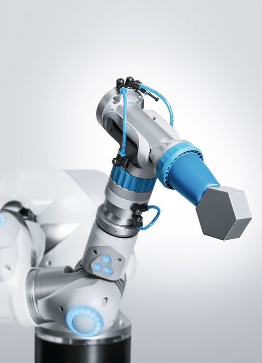 Der Adaptive Formgreifer DHEF: Wie eine Chamäleon-Zunge greift er unförmige, runde und empfindliche Objekte sicher.
