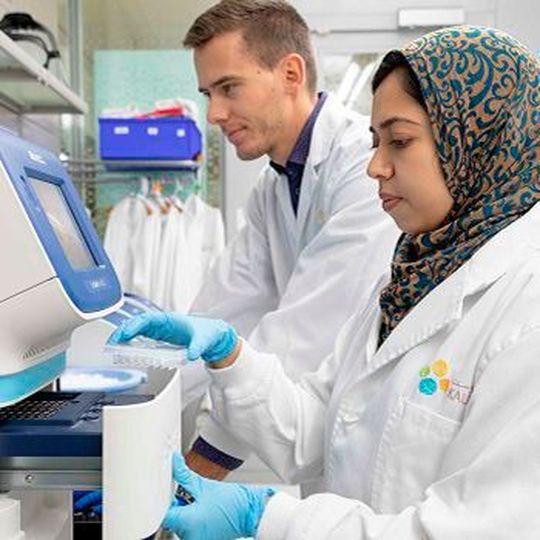 Michael Margineanu (left), Hanan Mamood (right) and colleagues have identified genes that may assist with developing novel therapeutic targets for neurodegenerative diseases, such as Alzheimer's disease. Michael Margineanu (left), Hanan Mamood (right) and colleagues have identified genes that may assist with developing novel therapeutic targets for neurodegenerative diseases, such as Alzheimer's disease.