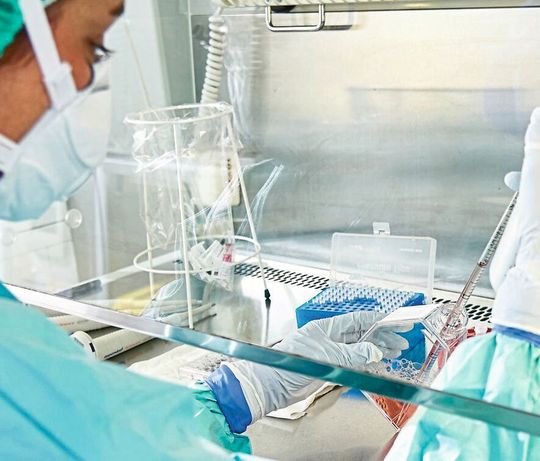 An der Uniklinik Köln forscht das DZIF an einer Immuntherapie gegen Tuberkulose. An der Uniklinik Köln forscht das DZIF an einer Immuntherapie gegen Tuberkulose.