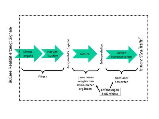 Die Umwandlung der Realität in unsere innere Realität lässt sich vereinfacht in drei Stufen modellieren