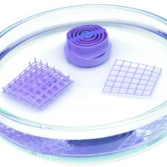 Im trockenen Zustand (hier in einer wasserfreien Flüssigkeit) färbt sich das Sensormaterial violett. Im trockenen Zustand (hier in einer wasserfreien Flüssigkeit) färbt sich das Sensormaterial violett.