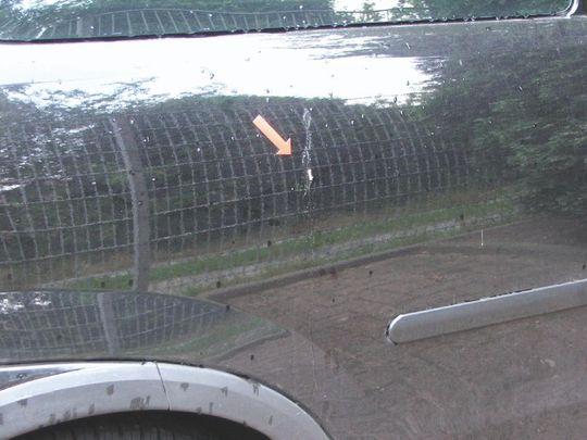 Lackschaden: Vogelkot sollte immer sofort entfernt werden, sonst greift er den Lack an. Lackschaden: Vogelkot sollte immer sofort entfernt werden, sonst greift er den Lack an.