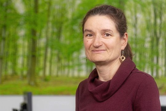 Dr. Sabine König Dr. Sabine König