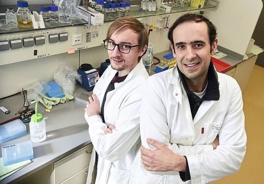 Andreas Zimmermann und Didac Carmona-Gutierrez (v.l.) forschen an der Universität Graz.