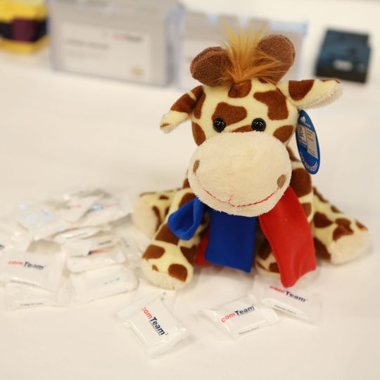 Auch Comteam-Maskottchen Lydia durfte auf der Partnerkonferenz natürlich nicht fehlen. Auch Comteam-Maskottchen Lydia durfte auf der Partnerkonferenz natürlich nicht fehlen.