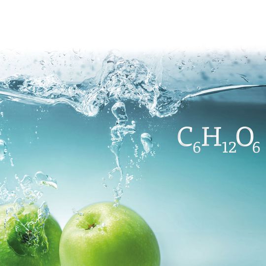 Abb. 1: Mit polymerbasierten Eurokat-Säulen können Zucker mit einer einfachen isokratischen Methode getrennt und dabei Wasser als Eluent verwendet werden. Abb. 1: Mit polymerbasierten Eurokat-Säulen können Zucker mit einer einfachen isokratischen Methode getrennt und dabei Wasser als Eluent verwendet werden.